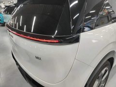 Zeekr MIX 2025 Smart Driving Edition - ფოტო 8