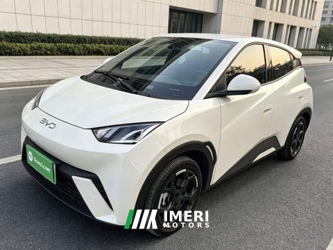 2024 BYD Seagull 2025 305km Freedom Edition - ავტომობილი ჩინეთიდან
