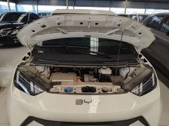 BYD Seagull 2025 305km Freedom Edition - ფოტო 16