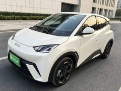 BYD Seagull 2025 305km Freedom Edition - ფოტო 2