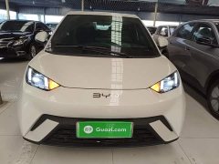 BYD Seagull 2025 305km Freedom Edition - ფოტო 3