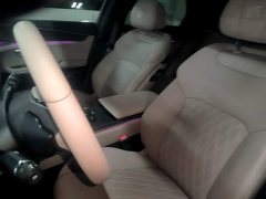 BYD Song DM-i Smart Drive 125KM LiDAR Flagship - ფოტო 15
