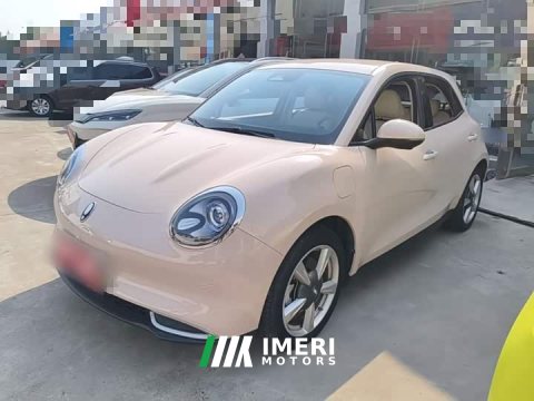 2023 ORA Good Cat 401km Standard Range Luxury LFP - ავტომობილი ჩინეთიდან
