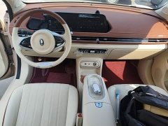 ORA Good Cat 401km Standard Range Luxury LFP - ფოტო 10