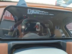 ORA Good Cat 401km Standard Range Luxury LFP - ფოტო 12