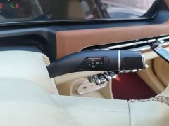 ORA Good Cat 401km Standard Range Luxury LFP - ფოტო 14