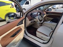 ORA Good Cat 401km Standard Range Luxury LFP - ფოტო 16