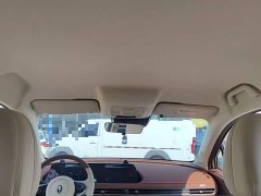ORA Good Cat 401km Standard Range Luxury LFP - ფოტო 18