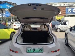 ORA Good Cat 401km Standard Range Luxury LFP - ფოტო 19
