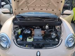 ORA Good Cat 401km Standard Range Luxury LFP - ფოტო 20