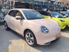 ORA Good Cat 401km Standard Range Luxury LFP - ფოტო 4