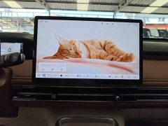 Wuling Bingo S 430km Flagship - ფოტო 13