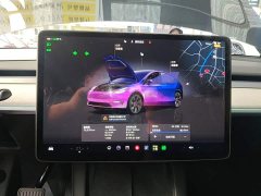 Tesla Model Y Rear-Wheel Drive - ფოტო 12