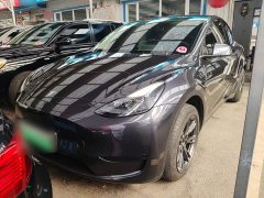 Tesla Model Y Rear-Wheel Drive - ფოტო 2