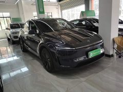 Tesla Model Y Rear-Wheel Drive - ფოტო 4