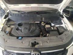 Changan CS35 Plus Comfort Edition 1.4T DCT Luxury - ფოტო 20