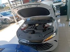 BYD Qin PLUS DM-i Smart Drive Edition 55KM Leading - ფოტო 20