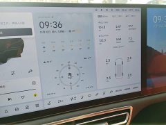Li Auto L9 2022 Max - ფოტო 12