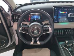 BYD Yuan Plus 430KM Premium Edition - ფოტო 11