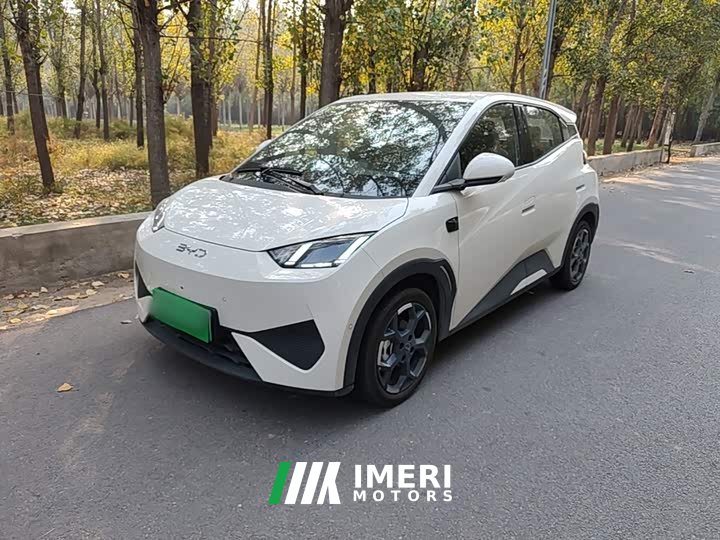 BYD Seagull Smart Driving Edition 305km Freedom Edition