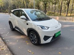 BYD Seagull 2025 Smart Driving Edition 305km Freedom Edition - ფოტო 4