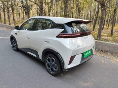 BYD Seagull 2025 Smart Driving Edition 305km Freedom Edition - ფოტო 5