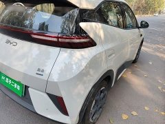 BYD Seagull 2025 Smart Driving Edition 305km Freedom Edition - ფოტო 8