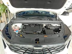 Geely Boyue 2024 1.5TD Smart Connected Plus - ფოტო 20