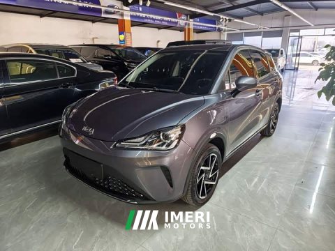 2024 Neta AYA 2023 401 Lite - ავტომობილი ჩინეთიდან
