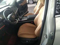 FAW Red Flag HS5 2.0T AWD Flagship Pro - ფოტო 11