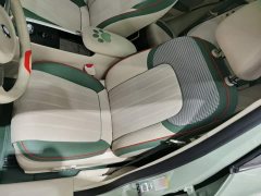 ORA Good Cat 400km Standard Range Deluxe Edition LFP Battery - ფოტო 15