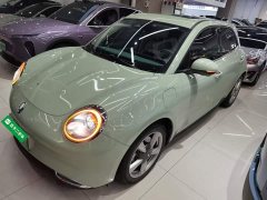 ORA Good Cat 400km Standard Range Deluxe Edition LFP Battery - ფოტო 2