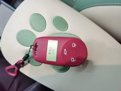 ORA Good Cat 400km Standard Range Deluxe Edition LFP Battery - ფოტო 9