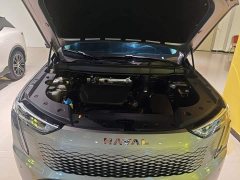 Haval Xiaolong MAX 1.5L Hi4 105 AWD Smart Flagship Edition - ფოტო 20