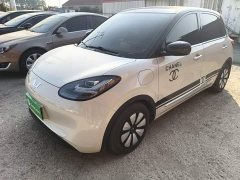 Wuling Binguo 333km Joy Edition - ფოტო 1