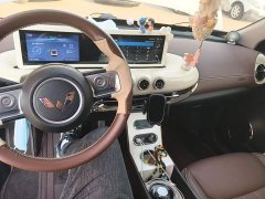 Wuling Binguo 333km Joy Edition - ფოტო 10