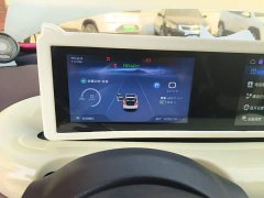 Wuling Binguo 333km Joy Edition - ფოტო 12