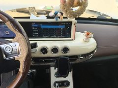 Wuling Binguo 333km Joy Edition - ფოტო 13
