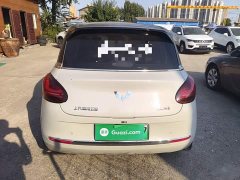 Wuling Binguo 333km Joy Edition - ფოტო 6