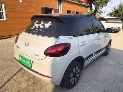 Wuling Binguo 333km Joy Edition - ფოტო 7