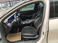 Ford EVOS EcoBoost 245 ST-Line - ფოტო 15