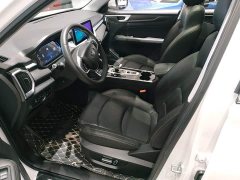 Chery Pro 1.5T CVT Edition - ფოტო 15