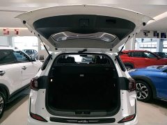 Chery Pro 1.5T CVT Edition - ფოტო 19