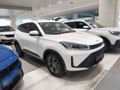 Chery Pro 1.5T CVT Edition - ფოტო 4