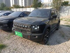 Jetour Jietu Shanhai T1 2025 150km Explorer - ფოტო 2