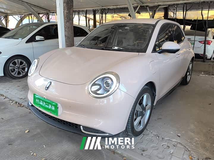 ORA Good Cat 401km Standard Range Luxury LFP
