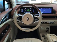 ORA Good Cat 401km Standard Range Luxury LFP - ფოტო 11