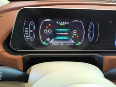 ORA Good Cat 401km Standard Range Luxury LFP - ფოტო 12