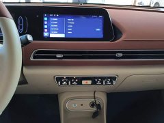 ORA Good Cat 401km Standard Range Luxury LFP - ფოტო 13