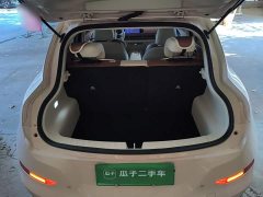 ORA Good Cat 401km Standard Range Luxury LFP - ფოტო 19
